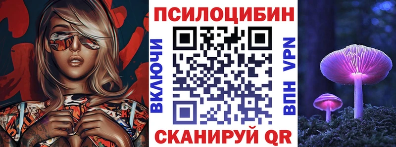 Псилоцибиновые грибы Psilocybe  купить закладку  Емва 